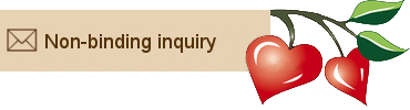 Non-binding Inquiry